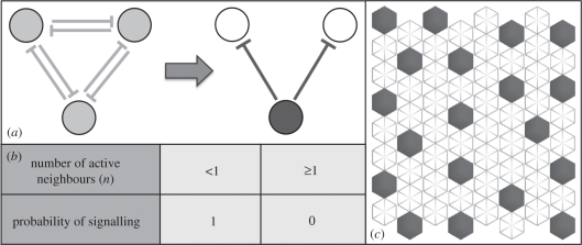 Figure 2.