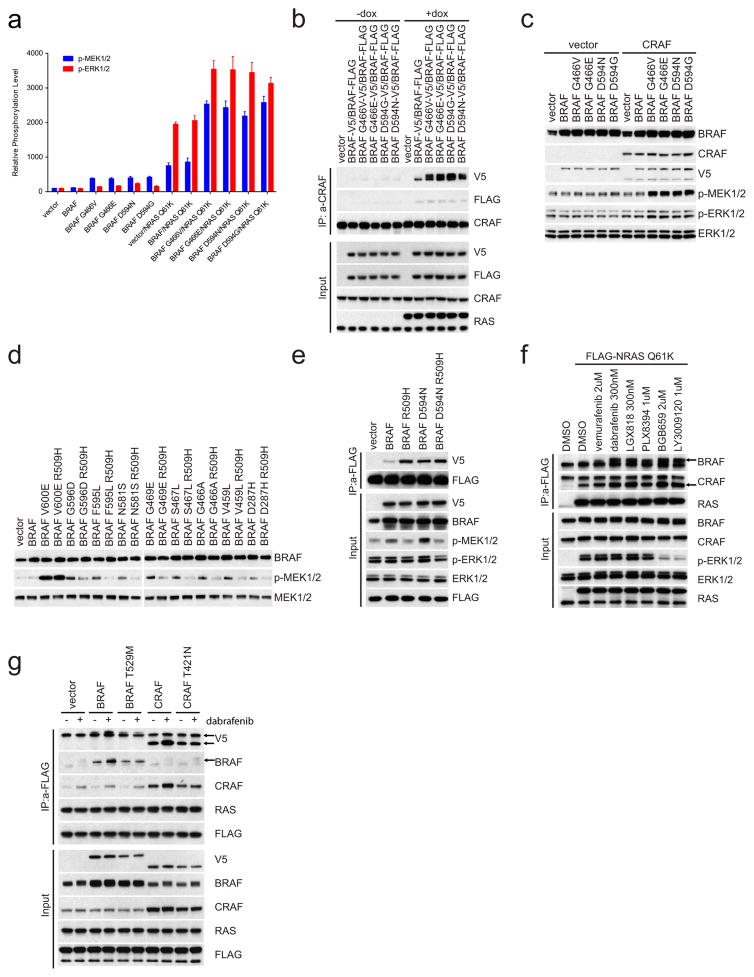 Extended Data Figure 2