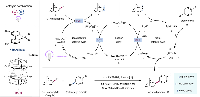 Figure 2 |