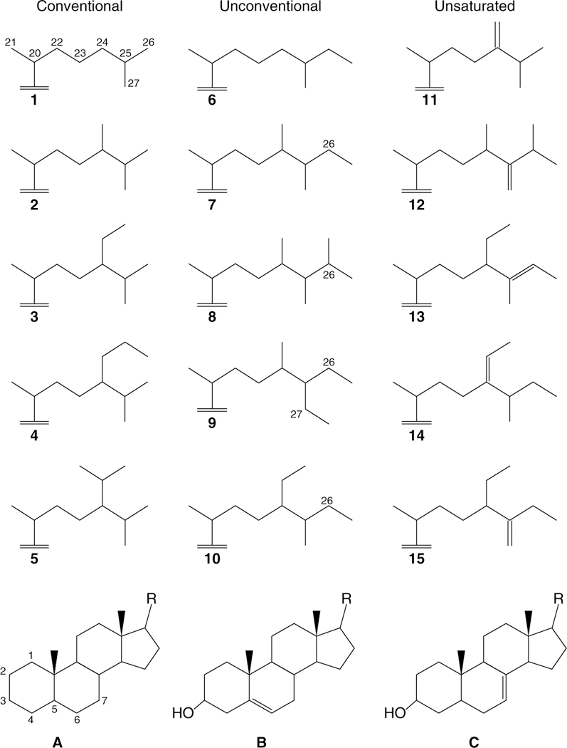 Fig. 4|