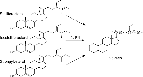 Fig. 2|