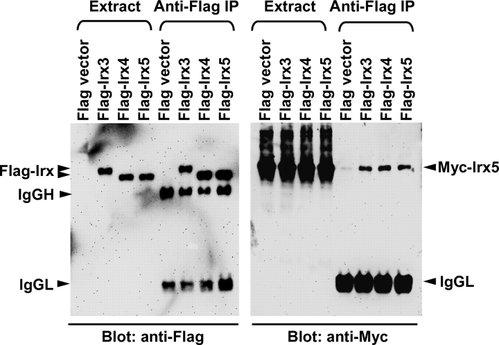 Figure 4