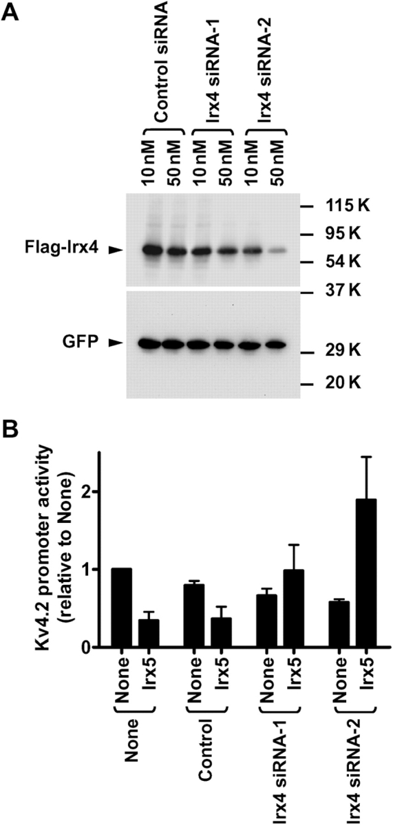 Figure 5