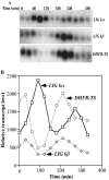 FIG. 4.