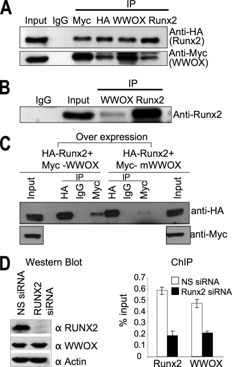 FIGURE 7.