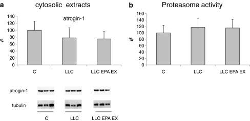 Fig. 6