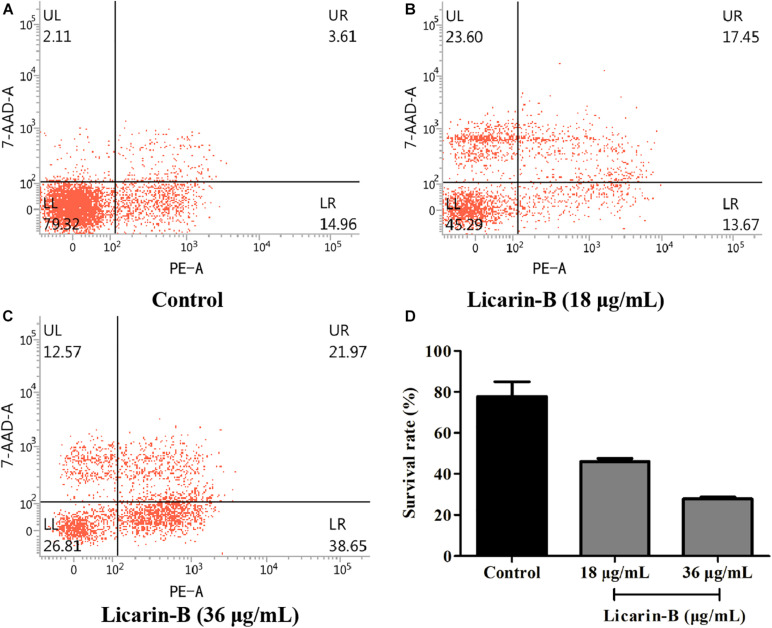 FIGURE 4