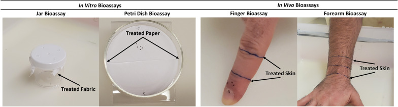 graphic file with name 13071_2023_5845_Figa_HTML.jpg