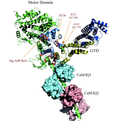 Fig. 6.