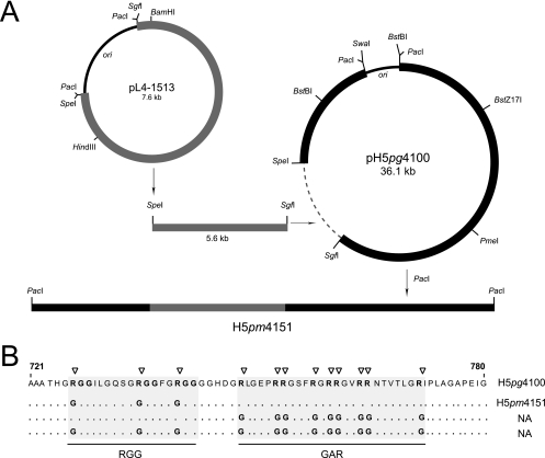 FIG. 1.