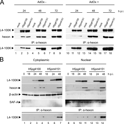 FIG. 7.