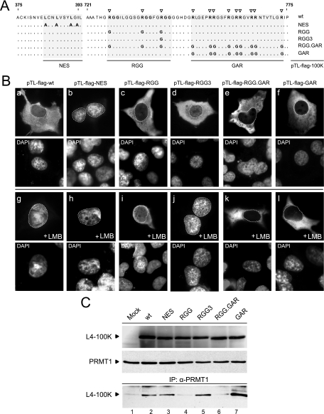 FIG. 5.