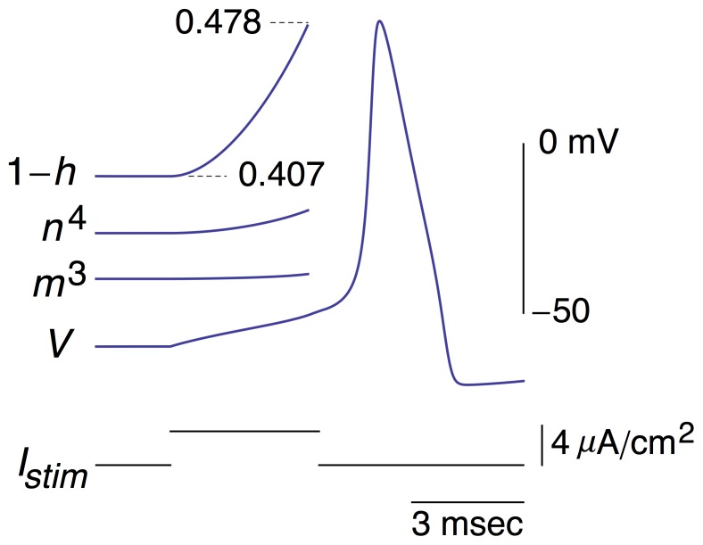 Figure 7