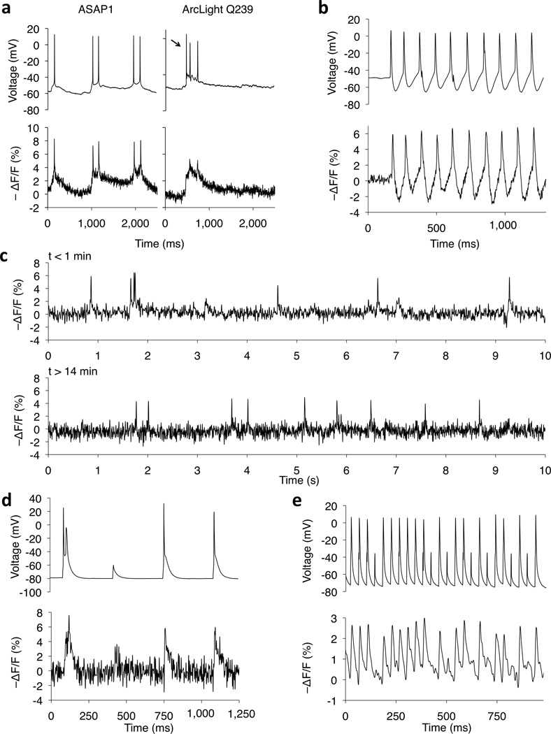 Figure 4