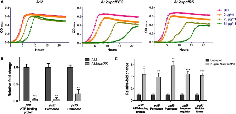 FIG 4