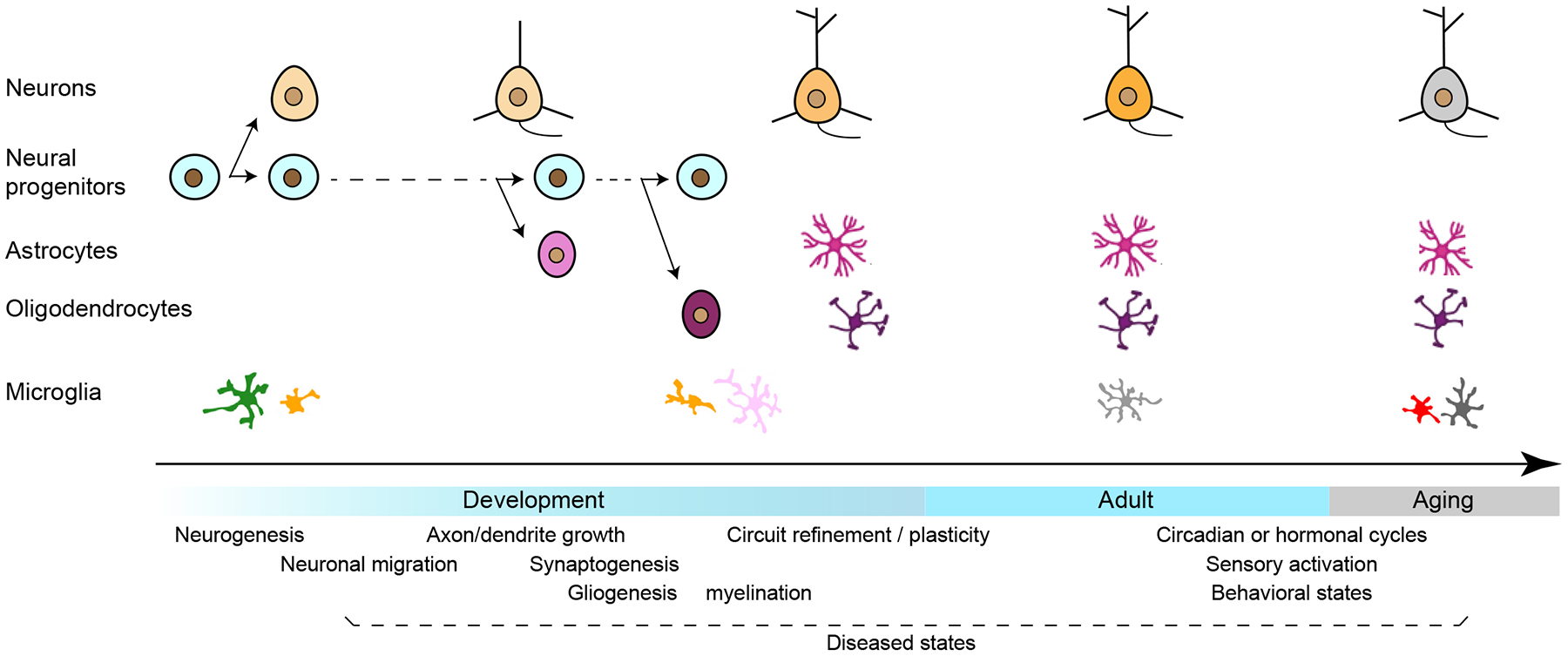 Figure 4.