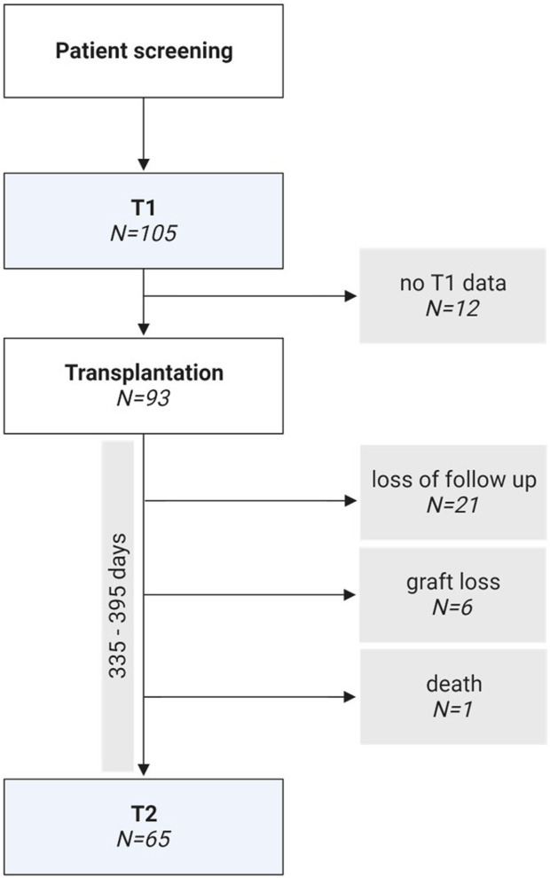 FIGURE 1