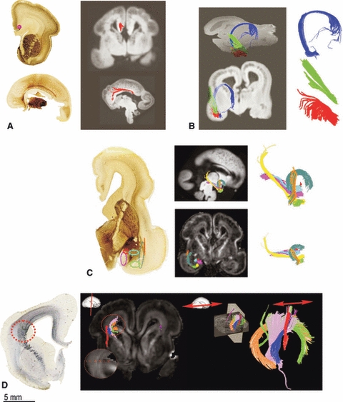 Fig. 8