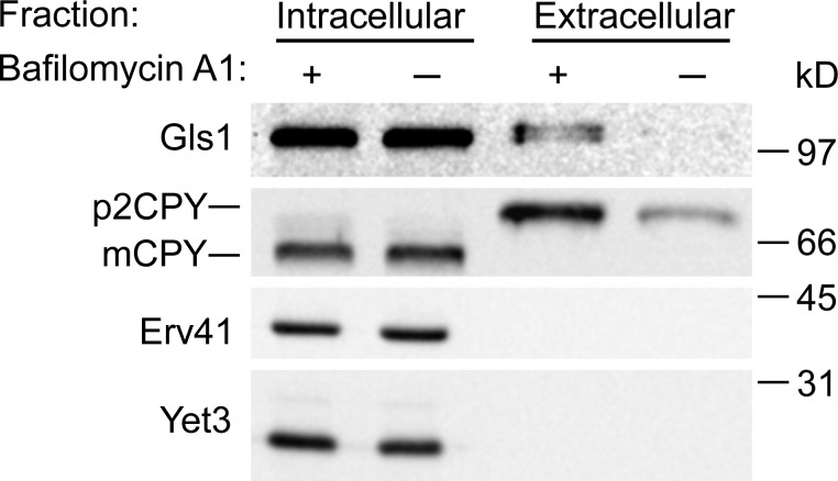 Figure 9.