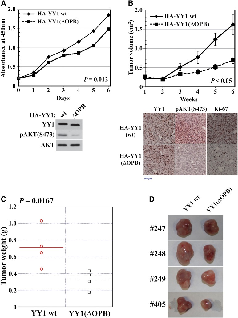 Figure 6