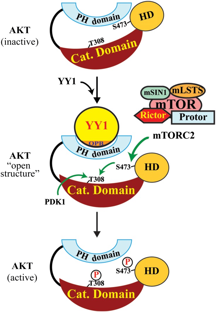 Figure 5