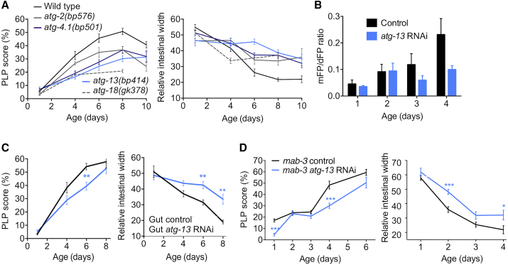 Figure 4