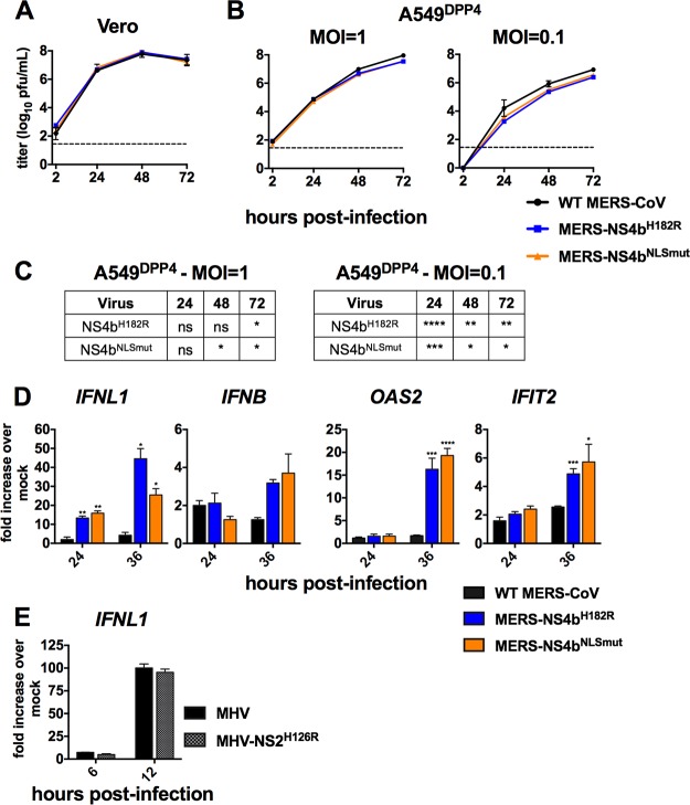 FIG 6