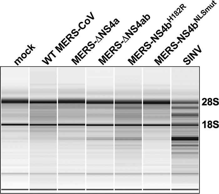 FIG 8