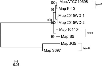 Fig. 4