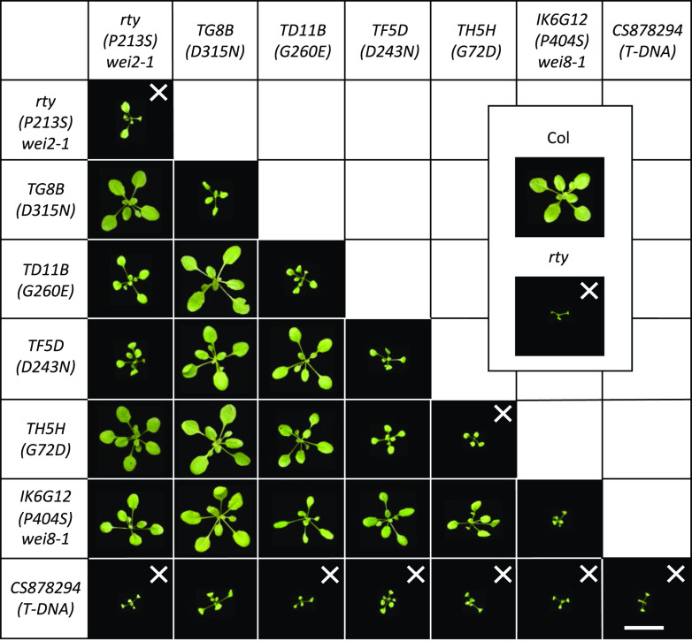 Figure 4.