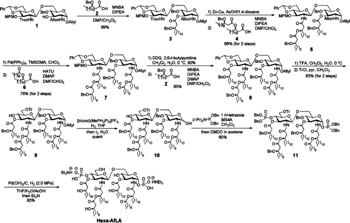 Scheme 1