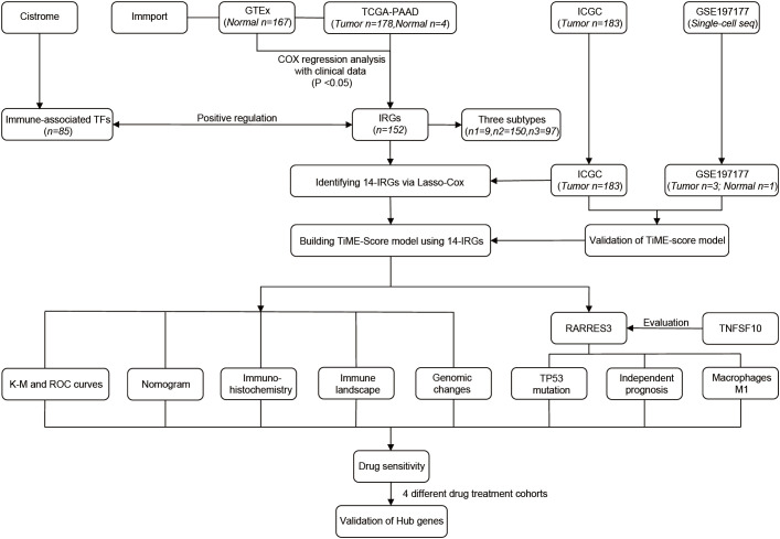 Figure 1