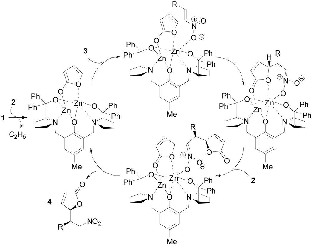 Scheme 1