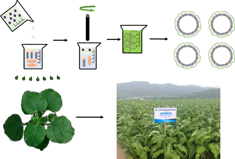 graphic file with name 12951_2021_1223_Figa_HTML.jpg