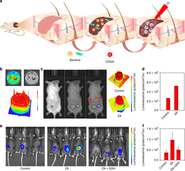 Fig. 4