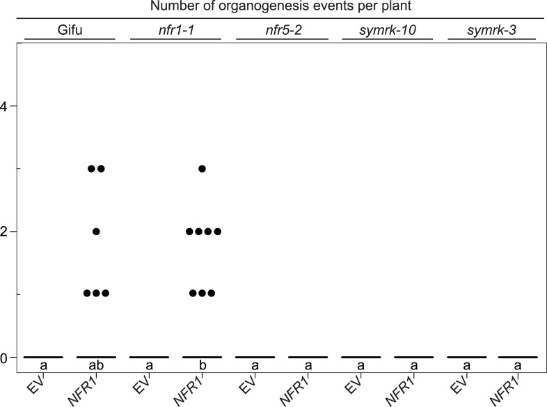 Figure 5—figure supplement 3.