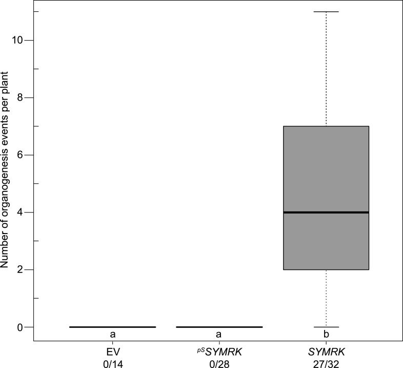 Figure 1—figure supplement 3.