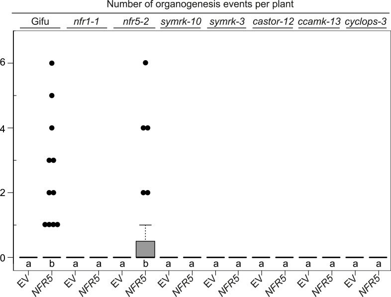 Figure 5—figure supplement 2.