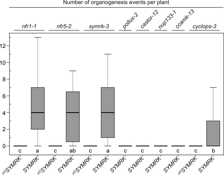 Figure 5—figure supplement 1.