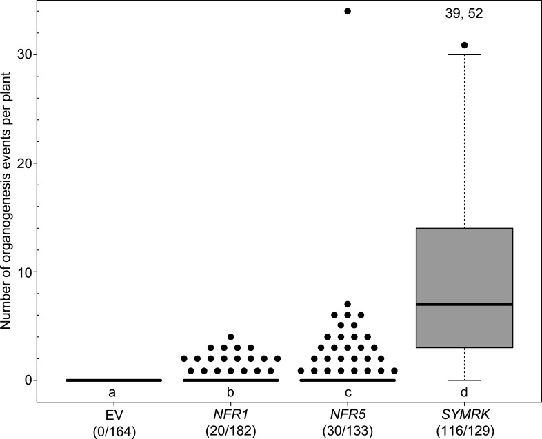 Figure 1—figure supplement 2.