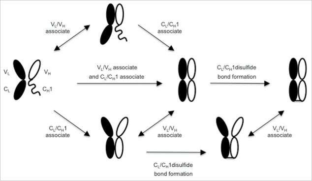 Figure 7.