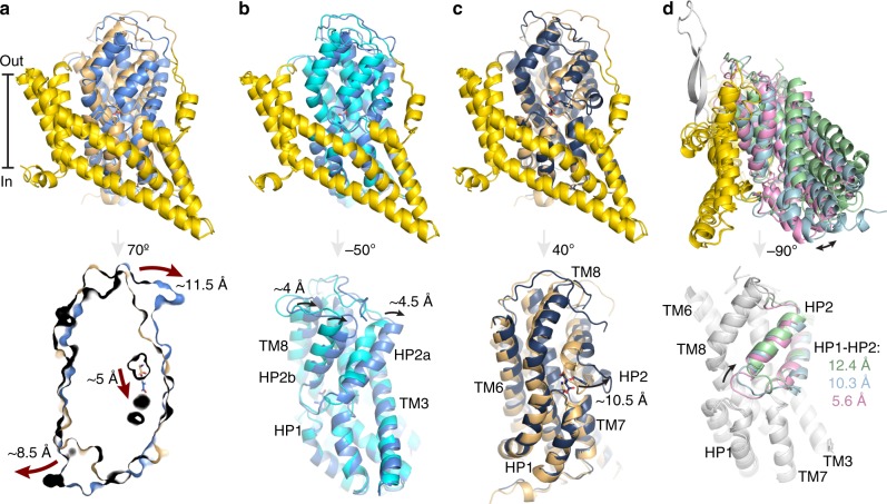 Fig. 3