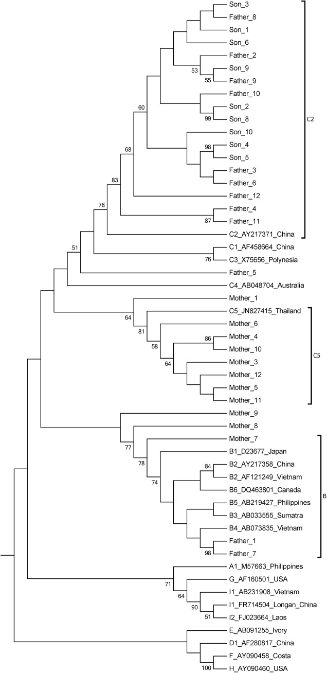 Fig 1