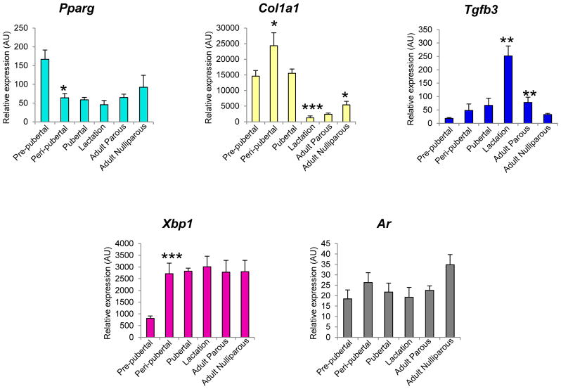 Figure 7