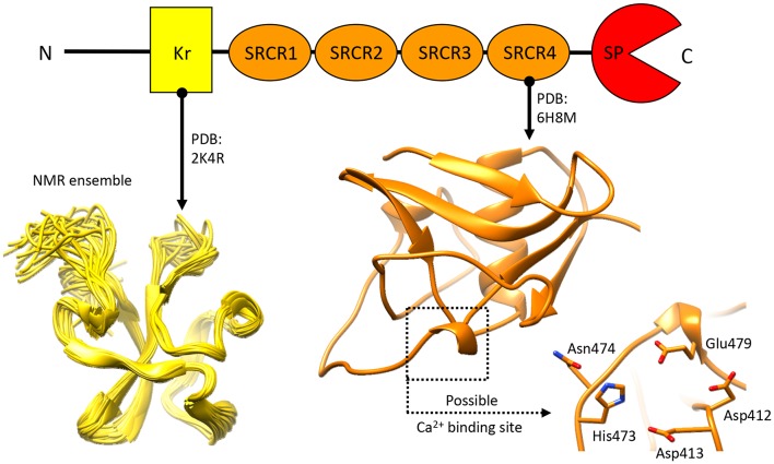 Figure 6