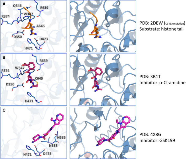 FIGURE 4