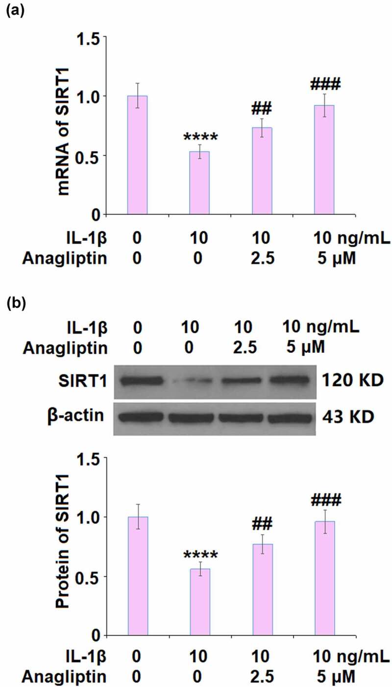 Figure 6.