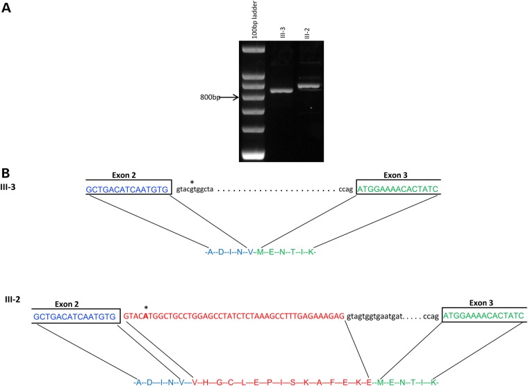 Figure 2.