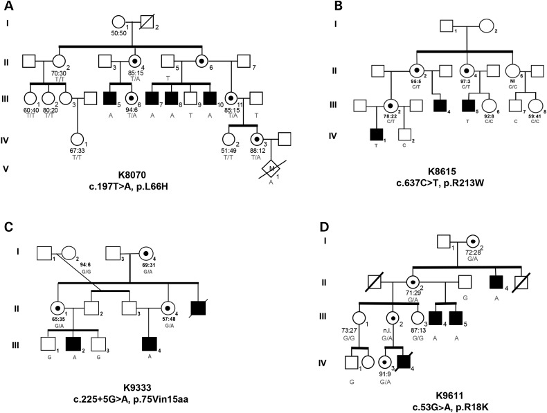 Figure 1.