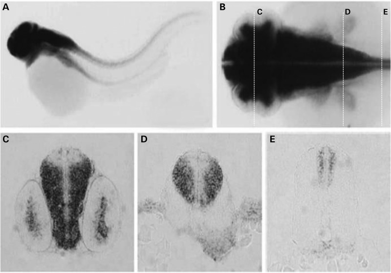 Figure 3.